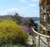 Forsythia and red buds in full bloom adorn the entrance to the lower lake view suite with the upper two stories to the right and the view of Beaver Lake in the background.