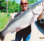 A large striper caught by one of our guests on a guided tour with Gene.
